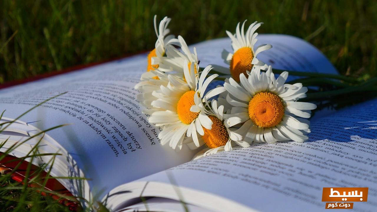 تحميل كتاب سمرقند pdf الرائع تأليف الكاتب المبدع أمين معلوف اكتشف عالماً من السحر والأحداث التاريخية! 7 Eq05izHxw6 4